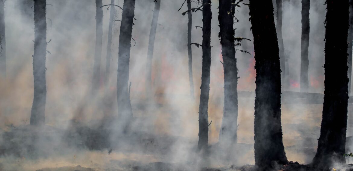 Efectele schimbărilor climatice devin tot mai vizibile: Franța se pregătește pentru temperaturi record, în timp ce Spania se luptă cu incendiile de vegetație