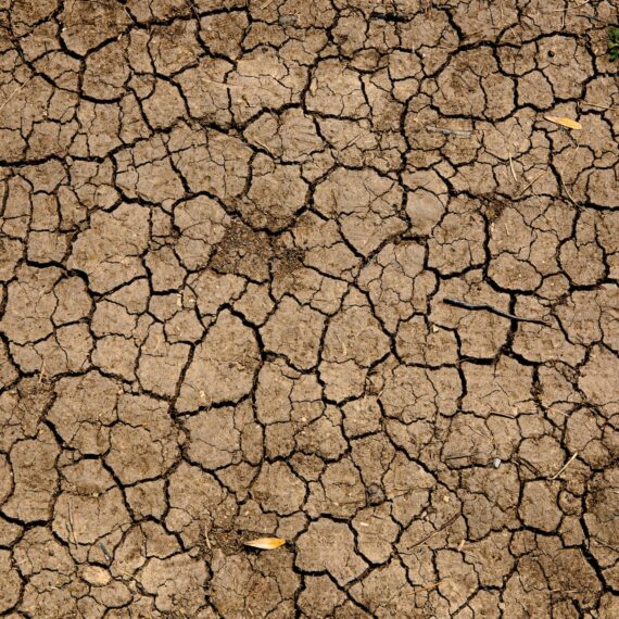 Noul normal? Criza secetei din Europa este alimentată de criza climatică